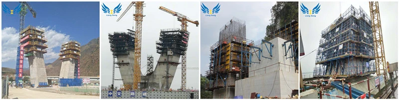 Lianggong Hydraulic Self-Climbing Formwork for Bridge Pier Construction